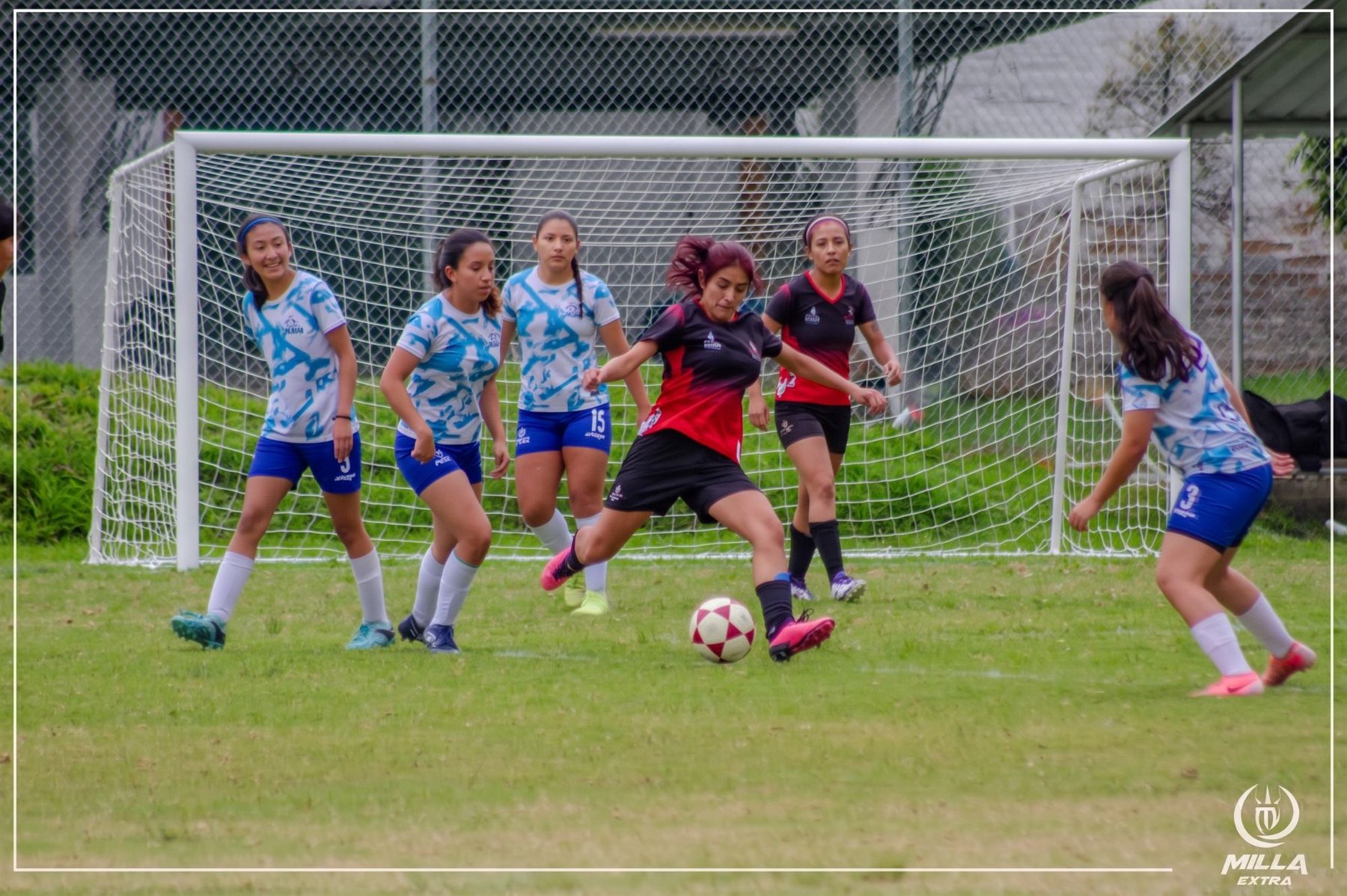 Partido amistoso